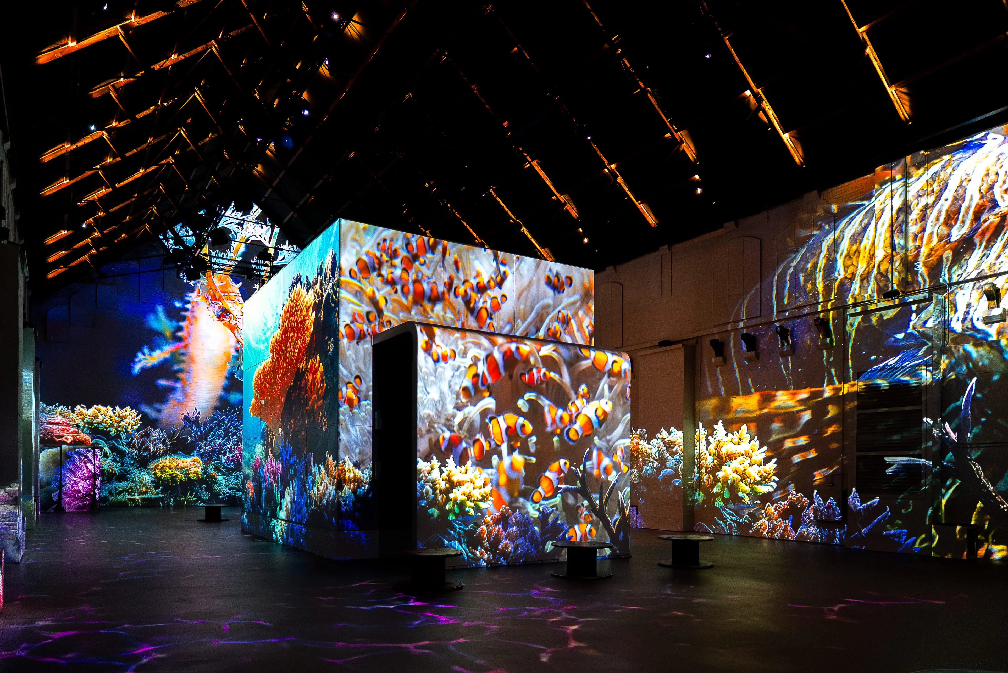 The Sea, An immersive journey