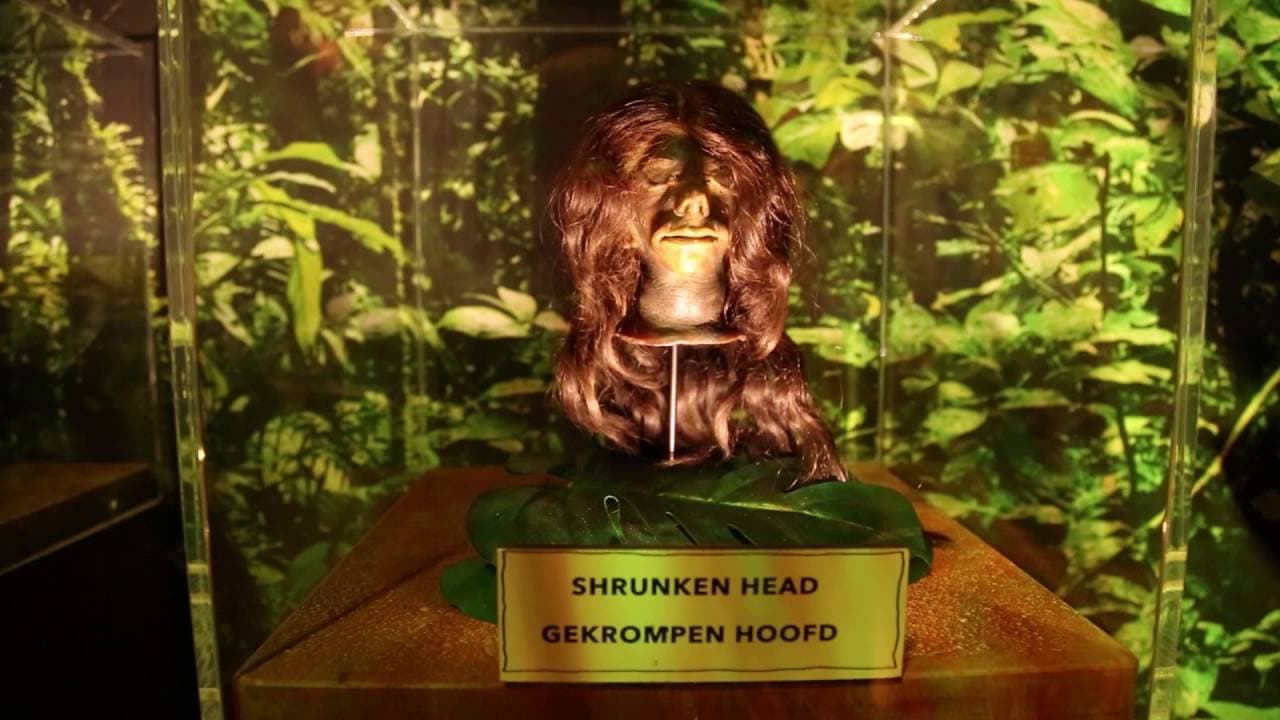 No title - Video thumbnail