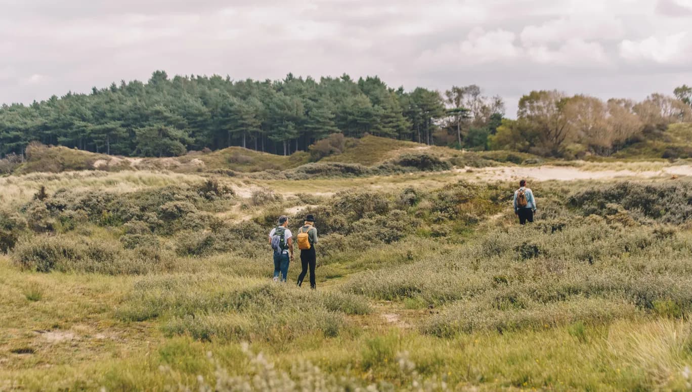 People Hiking at Nationaal Park Zuid-Kennemerland