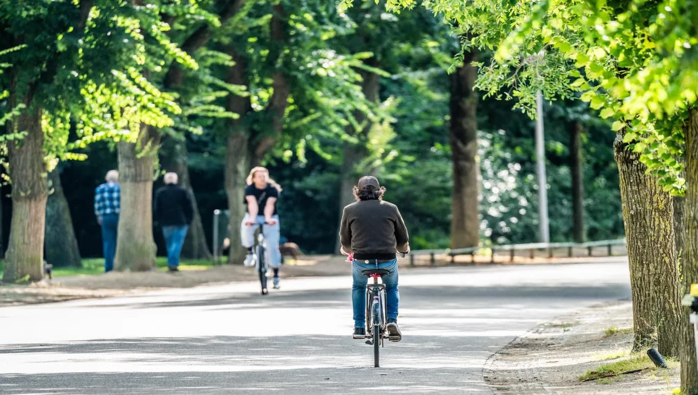 Cyclist in Vondelpark