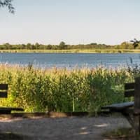Het Naardermeer is a green oasis with clear water, dense swamp and marshy meadows.
