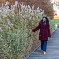 Woman walking over a bridge in Westerpark.