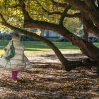A person walking through the Sarphatipark on a sunny autumn day.