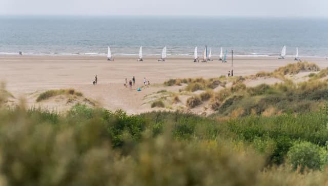 Blowcarters at IJmuiderslag beach.