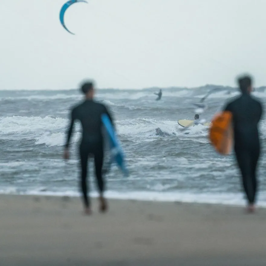 Surfers at the beach IJmuiden