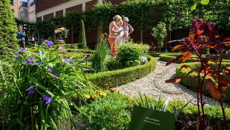 Open tuindagen 2023,  Huis Willet Holthuysen