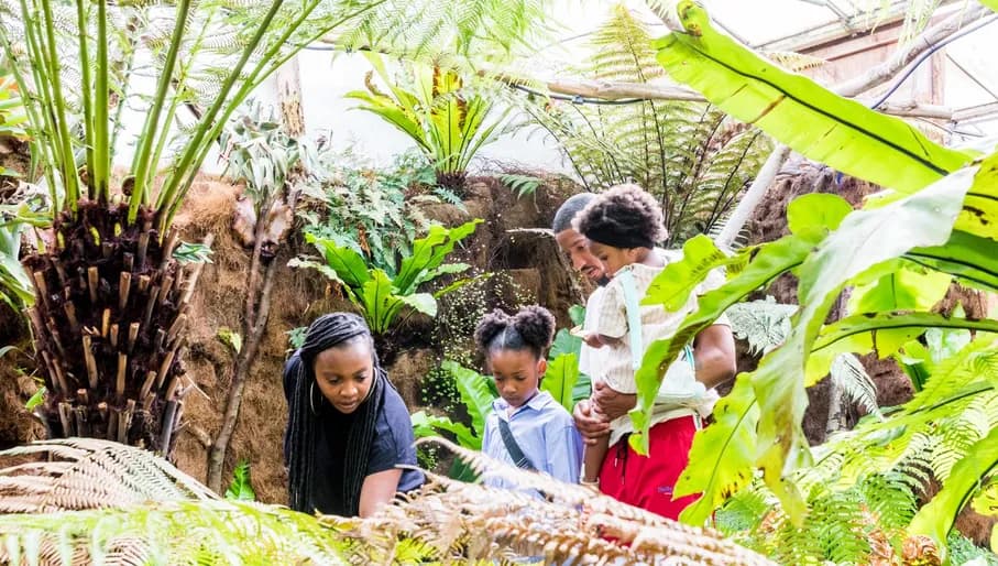 People walking around Almere Jungle
