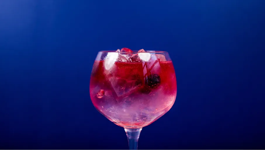 Mossel & Gin restaurant G&T cocktails