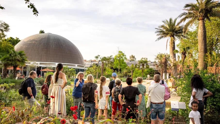 Visitors taking a guided tour in Artis Zoo