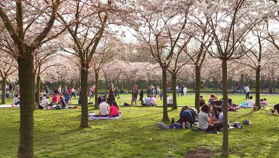 People relaxing at the Kersen bos