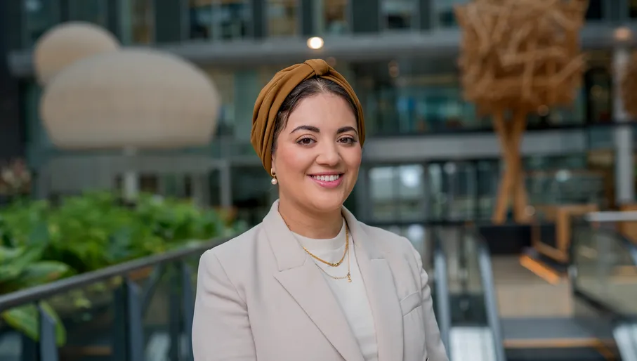 Manager Foreign Investments: Middle East and North Africa, Financial Sector Advisor to the City of Amsterdam