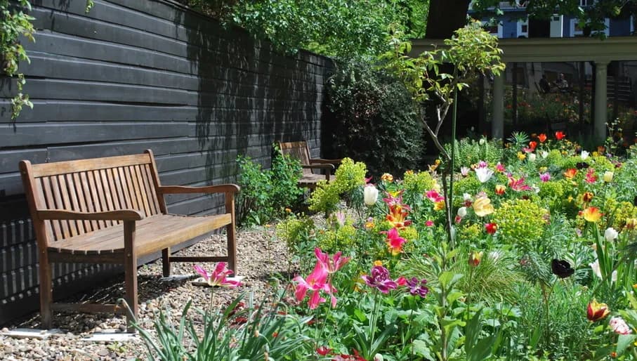 Alchemist garden Embassy of the Free Mind