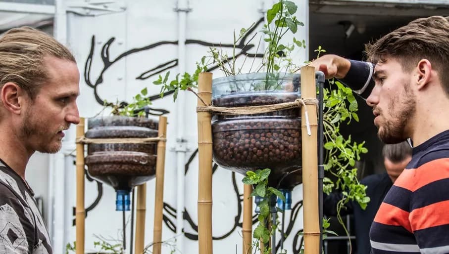 Mediamatic plant workshop