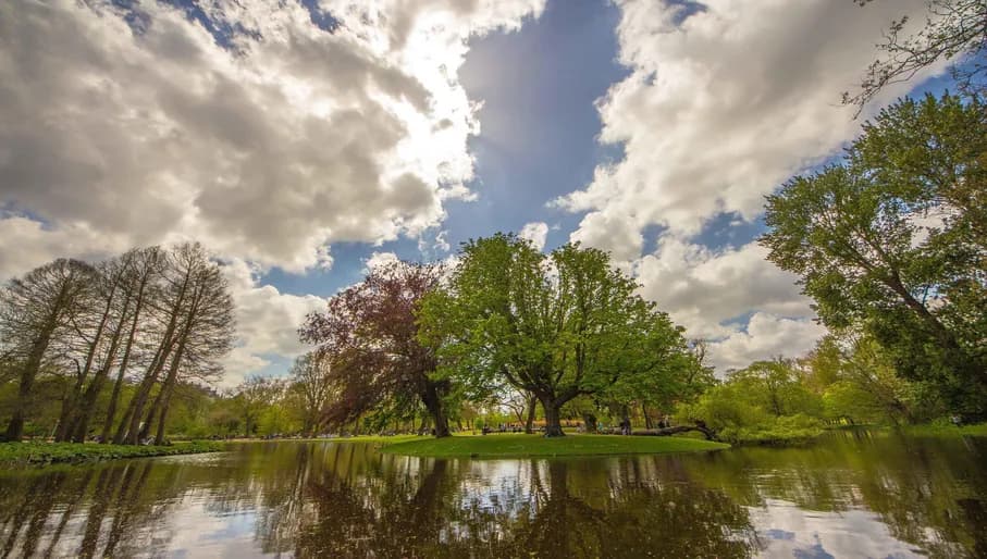 Vondelpark trees