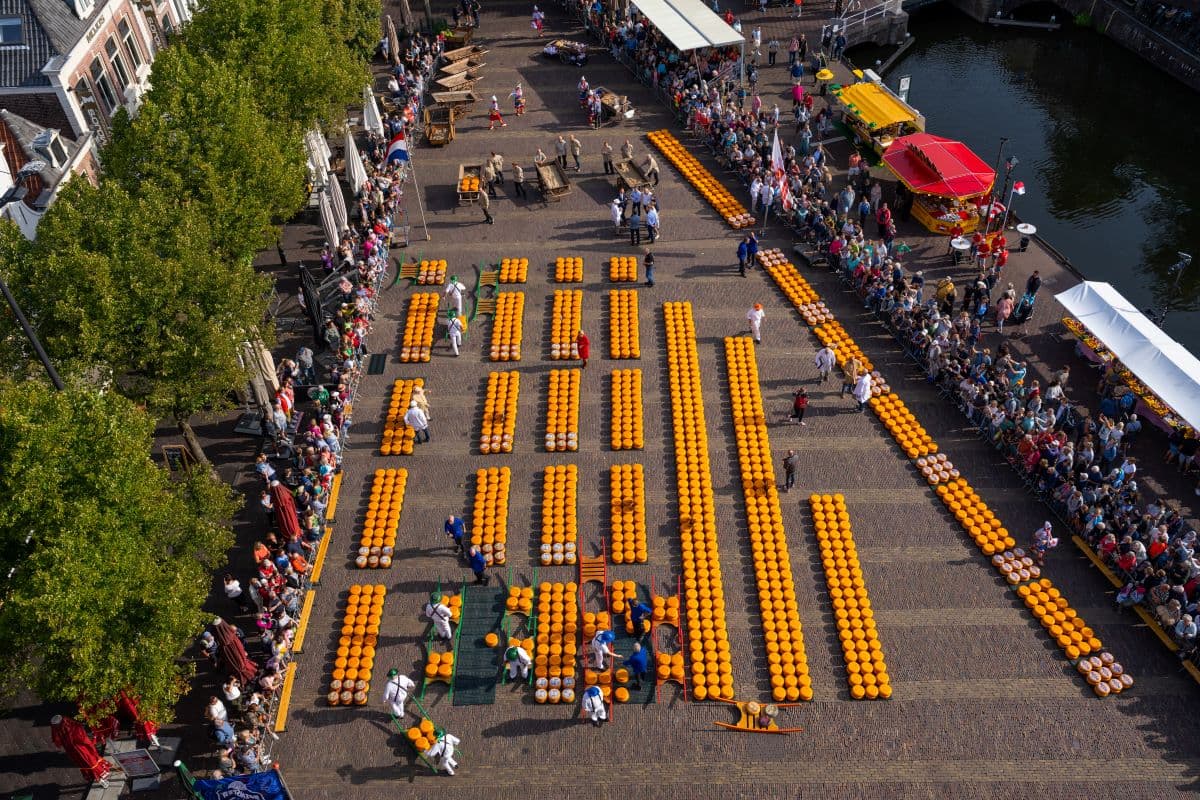 Kaasmarkt Alkmaar