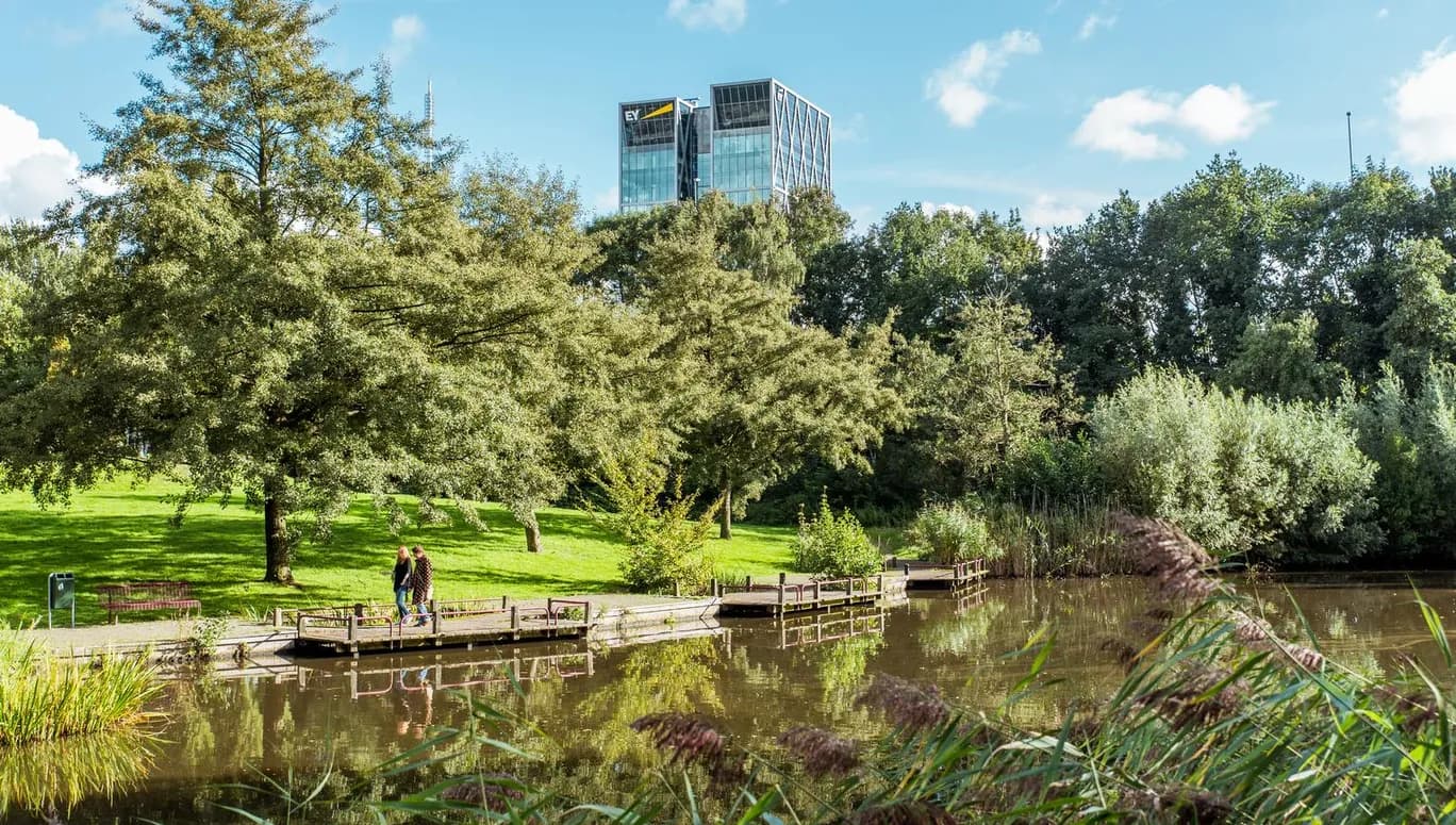 Beatrixpark lake with buildings in the background