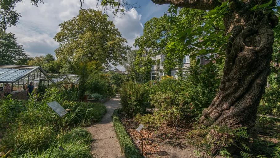 Hortus Botanicus greenhouse outside