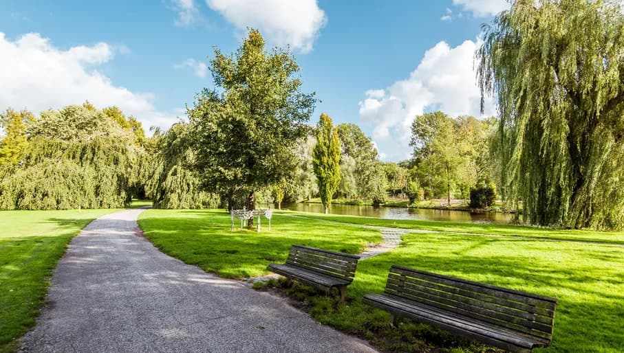 Green lawns in Beatrixpark
