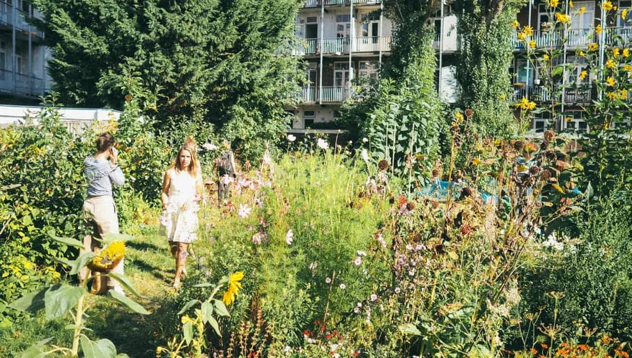 I Can Change the World with my Two Hands people in the garden