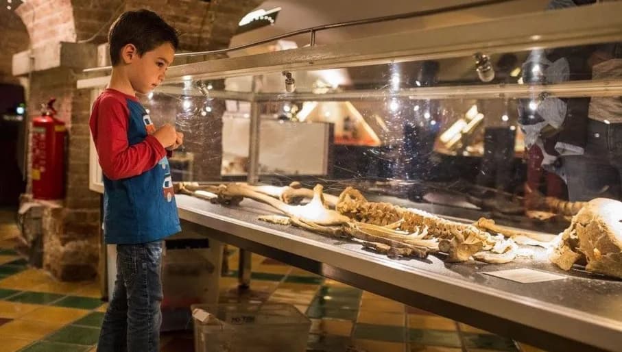 Archeologisch Museum Haarlem